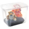 Plasticforte Opbergkist met deksel - Box - 75L - 60x42x43 cm