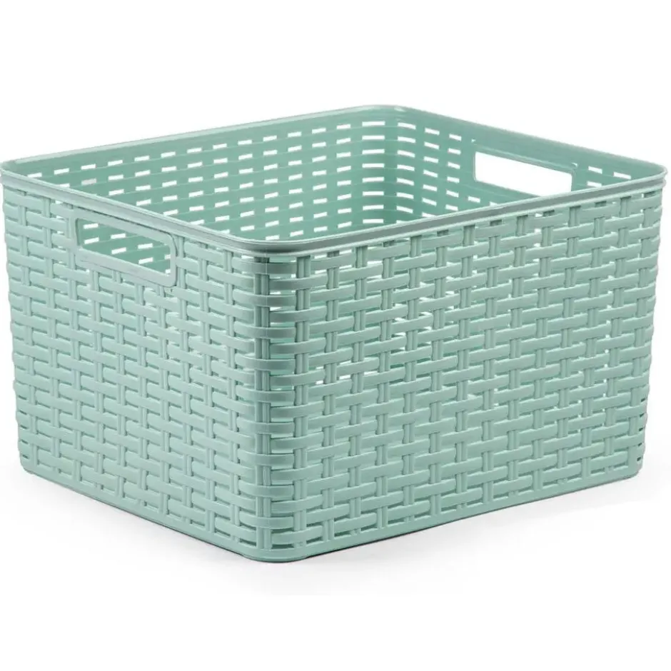 Plasticforte Opbergmand - Kastmand - kunststof - mintgroen - 28L