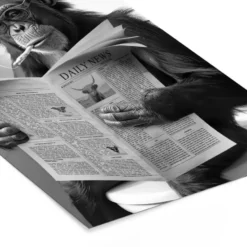 Poster met lijst 20x30 cm Aap - WC - Krant - Zwart wit - Humor