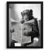 Poster met lijst 30x40 cm Aap - WC - Krant - Zwart wit - Humor