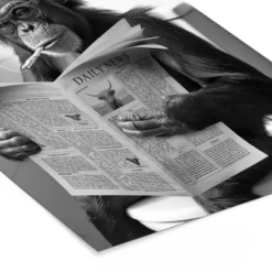 Poster met lijst 60x80 cm Aap - WC - Krant - Zwart wit - Humor