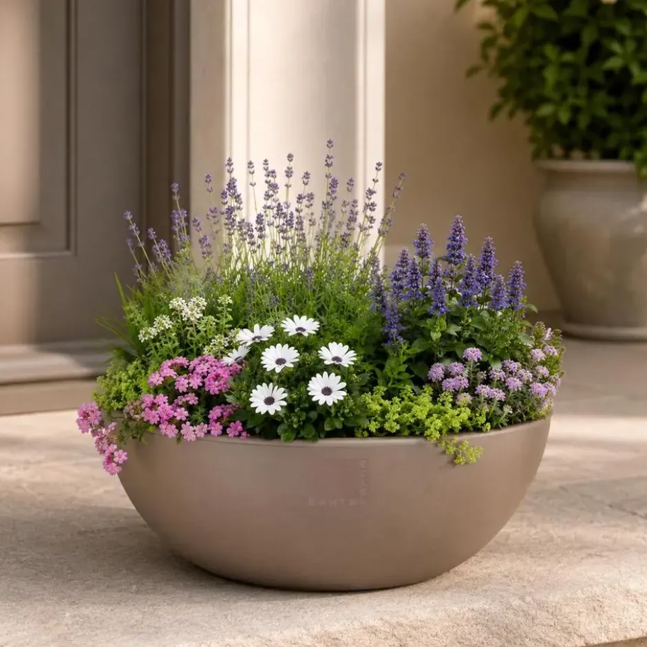 Pro Garden plantenpot schaal - kunststof - beige - D40 x H16 cm