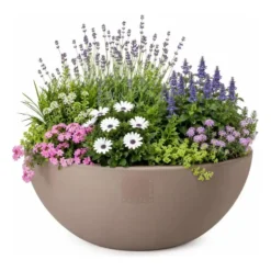 Pro Garden plantenpot schaal - kunststof - beige - D40 x H16 cm