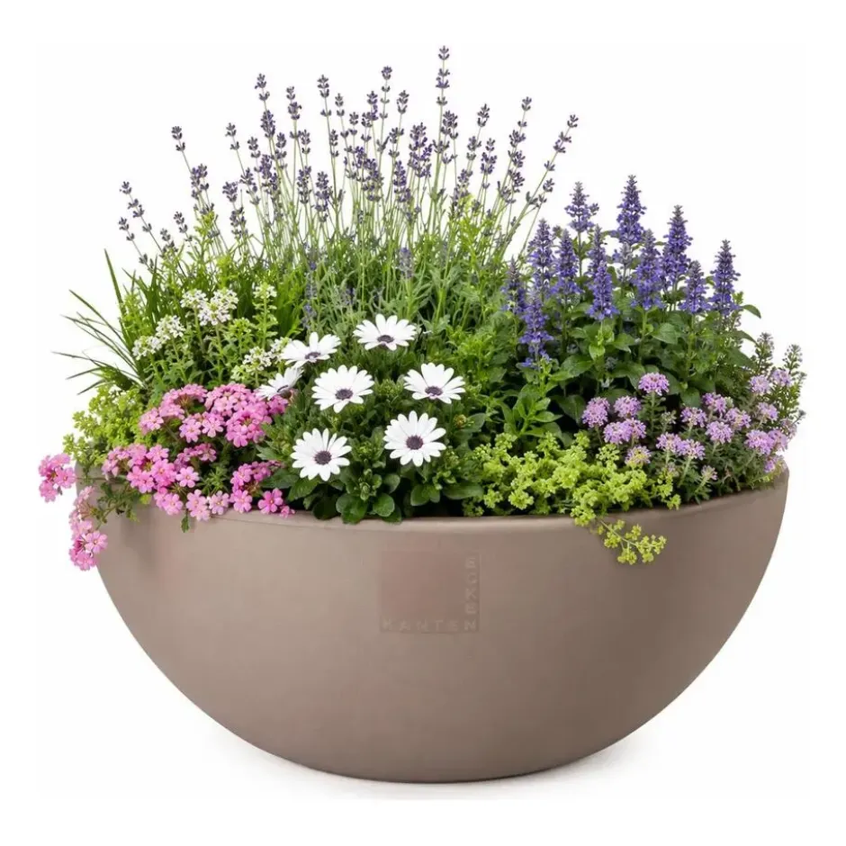 Pro Garden plantenpot schaal - kunststof - beige - D40 x H16 cm