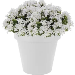 Prosperplast Bloempot - D25 x H23 cm - wit - kunststof