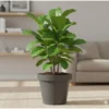 Prosperplast Bloempot - D50 x H42 cm - donkergrijs - kunststof
