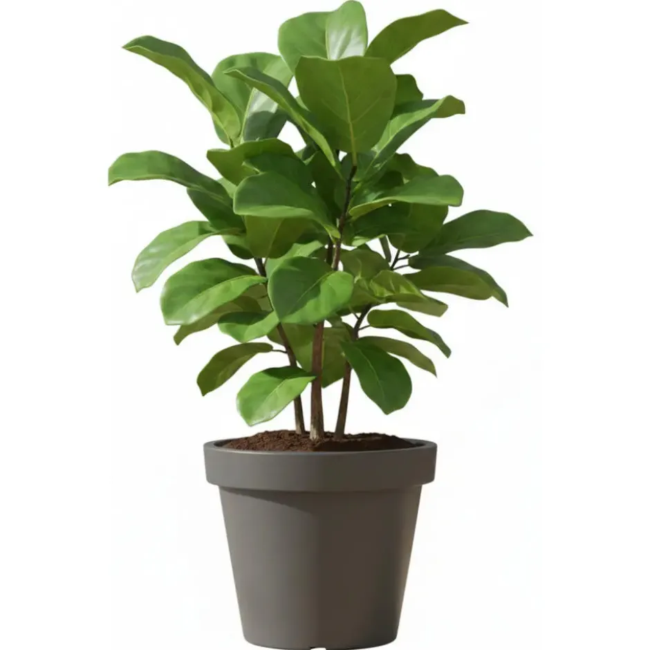 Prosperplast Bloempot - D50 x H42 cm - donkergrijs - kunststof