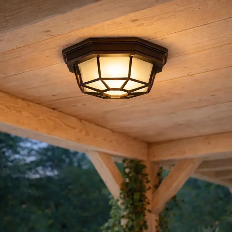 Qazqa plafondlamp bri bruin e27