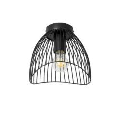 Qazqa plafondlamp pua zwart e27