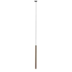 Qazqa railverlichting iconic frini bronskleurig g9
