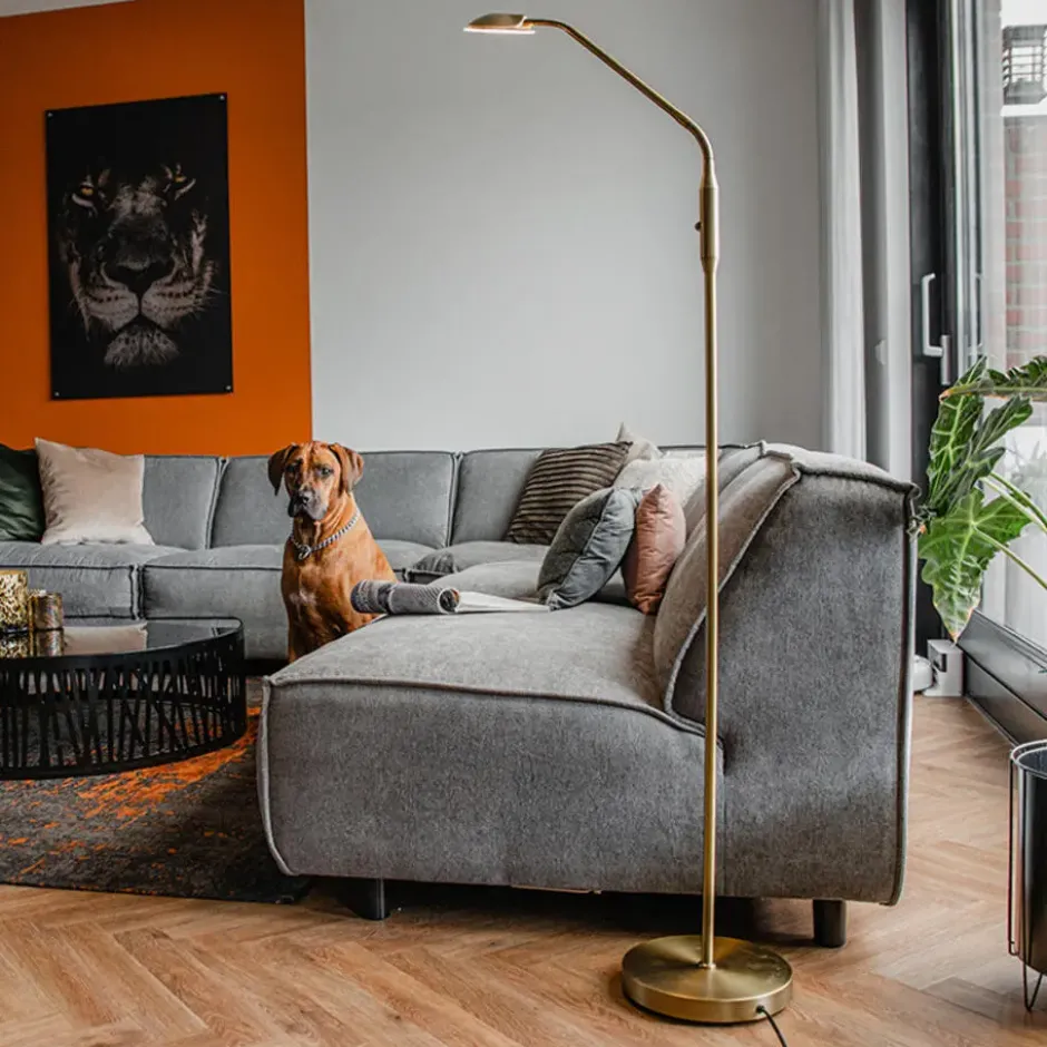 Qazqa vloerlamp eva bronskleurig geïntegreerde led
