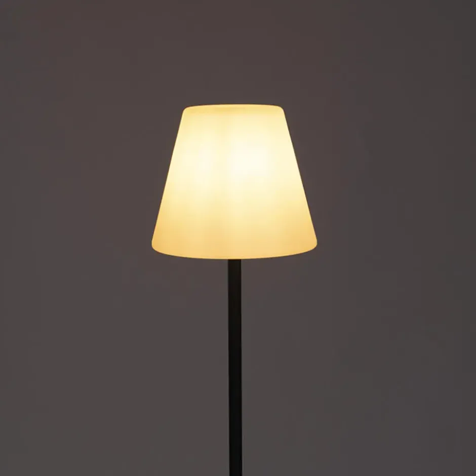 Qazqa vloerlamp virginia fl zwart e27