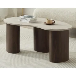 Salontafel ALOZYA - 120 cmx60 cm - Natuurlijk donker Beige Hout paneel
