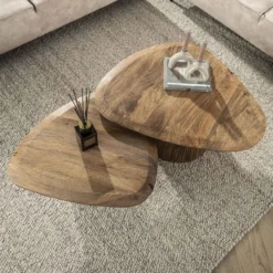 Salontafel Naturel Mangohout - Set van 2 - 93x72x43cm - Wave