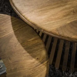 Salontafel Rond - Massief Mangohout - Set van 2