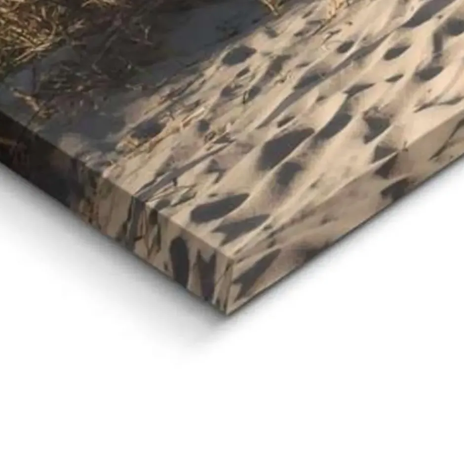 Schilderij Duinen - 40 x 118 - Beige