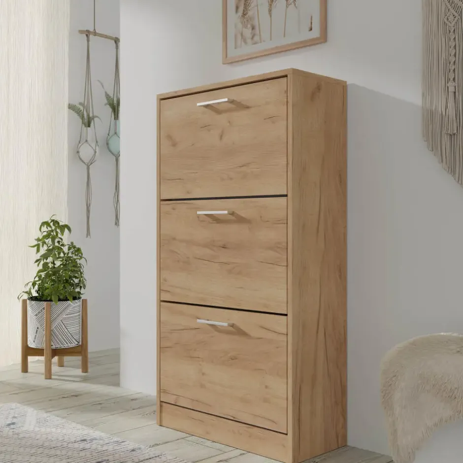 Schoenenkast ADA craft goud– kantelbaar, 60x28x116 cm