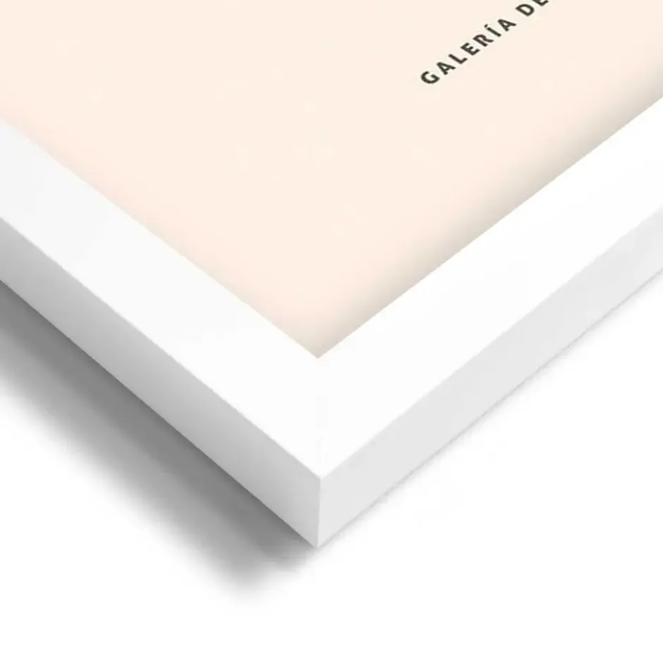 Set poster met lijst - Bloemen