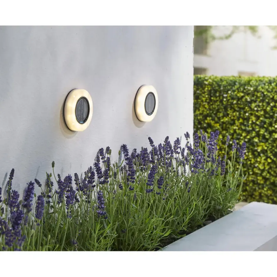 Solar decklights warm wit set van 3 x 2