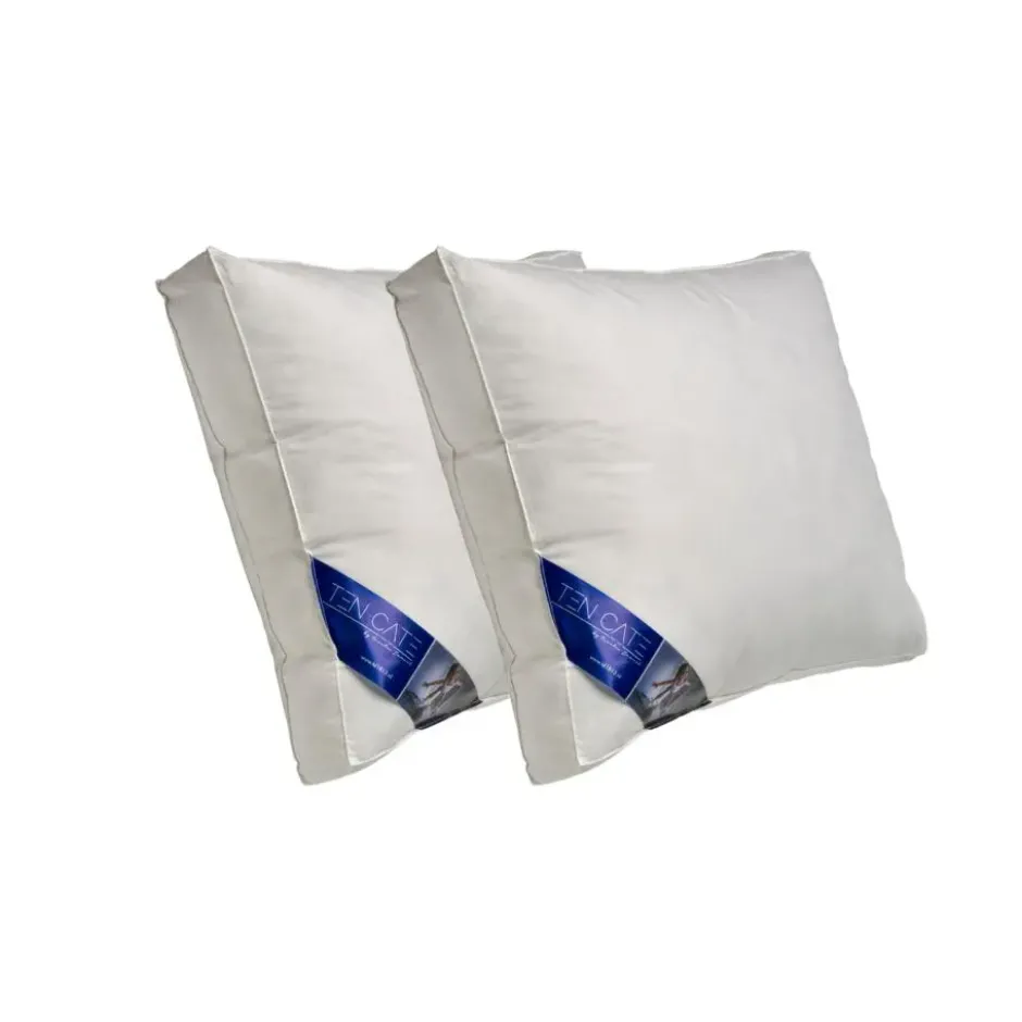 Ten Cate boxkussen - halfdons - 60x70 - 2 stuks