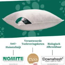 Ten Cate 100% Eendenveren Hoofdkussen - 60x70 - 2 stuks