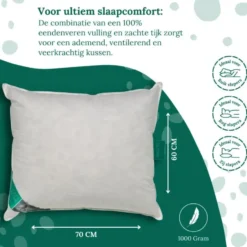 Ten Cate 100% Eendenveren Hoofdkussen - 60x70 - 2 stuks