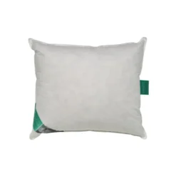 Ten Cate 100% Eendenveren Hoofdkussen - 60x70