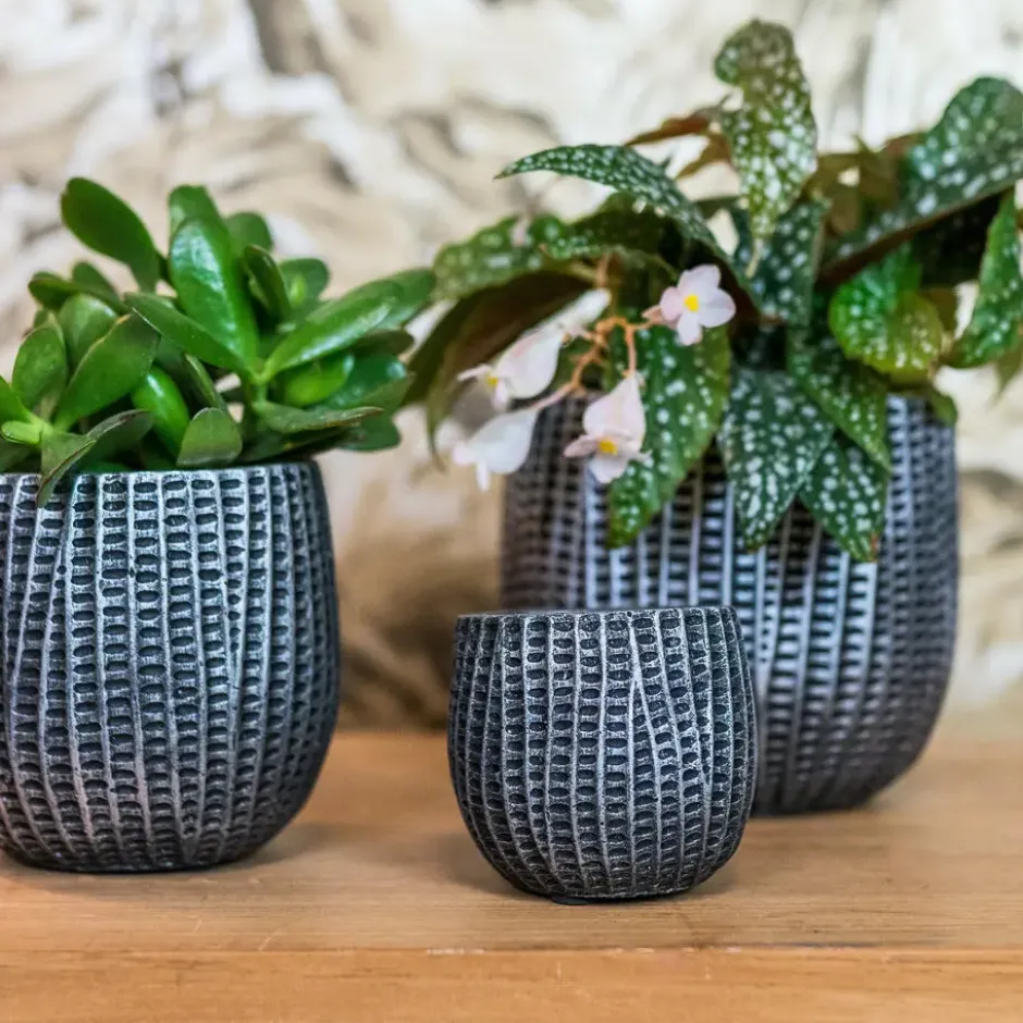 Ter Steege Bloempot/plantenpot - binnen - zwart/metaal - D15/H13 cm