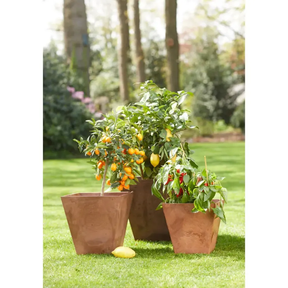 Ter Steege Plantenbak - gerecycled kunststof - bruin - 74 x 17 cm