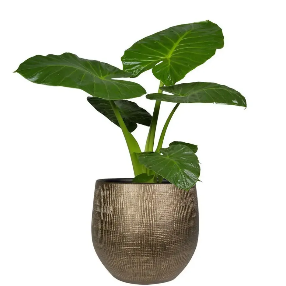 Ter Steege Plantenpot/bloempot - keramiek - metal goud - 31x28cm