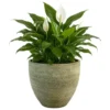 Ter Steege Plantenpot/bloempot Lava Stone - groen - D36 x H32 cm