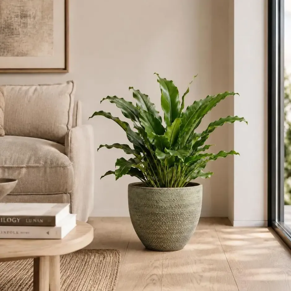 Ter Steege Plantenpot/bloempot Lava Stone - groen - D36 x H32 cm
