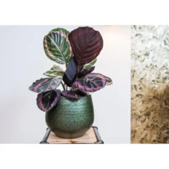 Ter Steege Plantenpot - keramiek - metallic donkergroen - 23x20cm