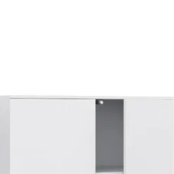 Toro-Hoge kast met 2 deuren in wit