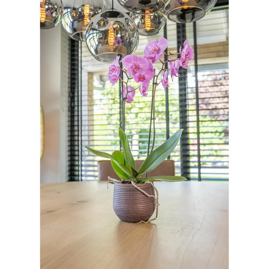 TS Collection plantenpot - Lydia - paars - 20 x 22 cm - keramiek
