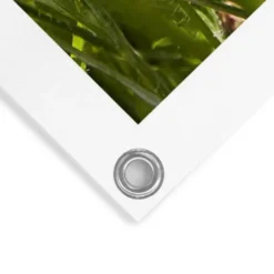 Tuinposter Bloemenveld - 80 x 60 - Bont