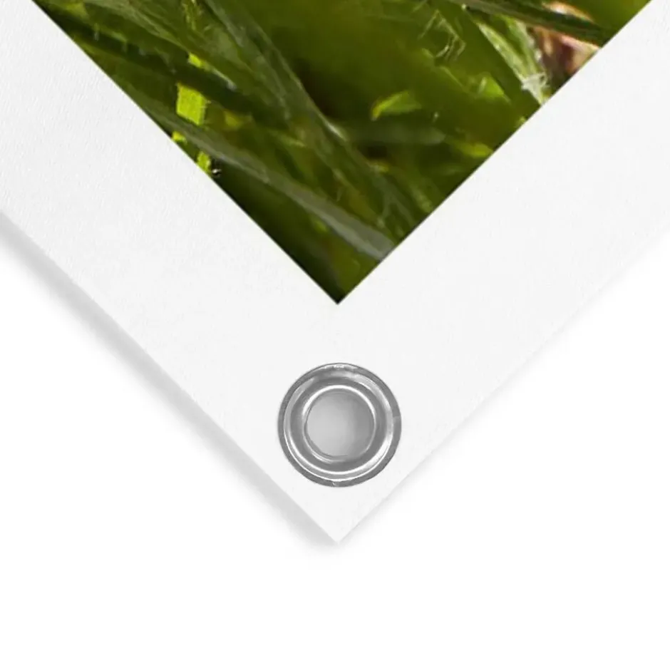 Tuinposter Bloemenveld - 80 x 60 - Bont