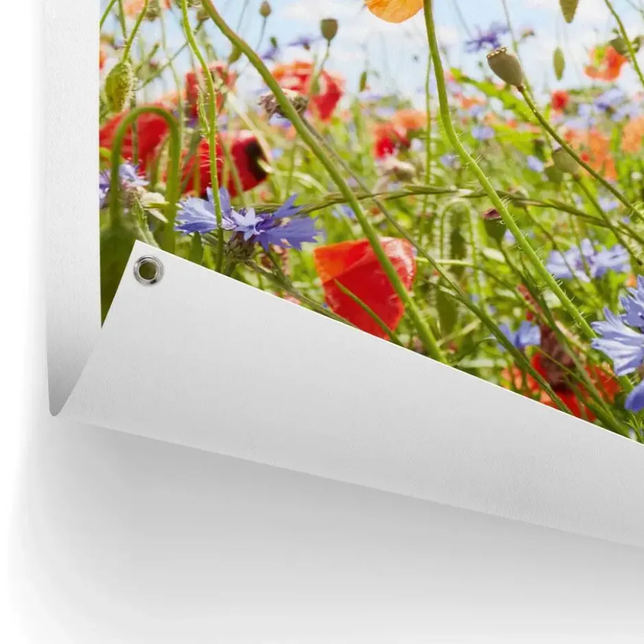 Tuinposter Bloemenveld - 80 x 60 - Bont