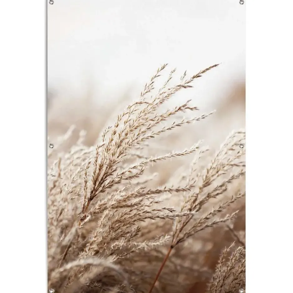 Tuinposter Helmgras - 120 x 80 - Beige