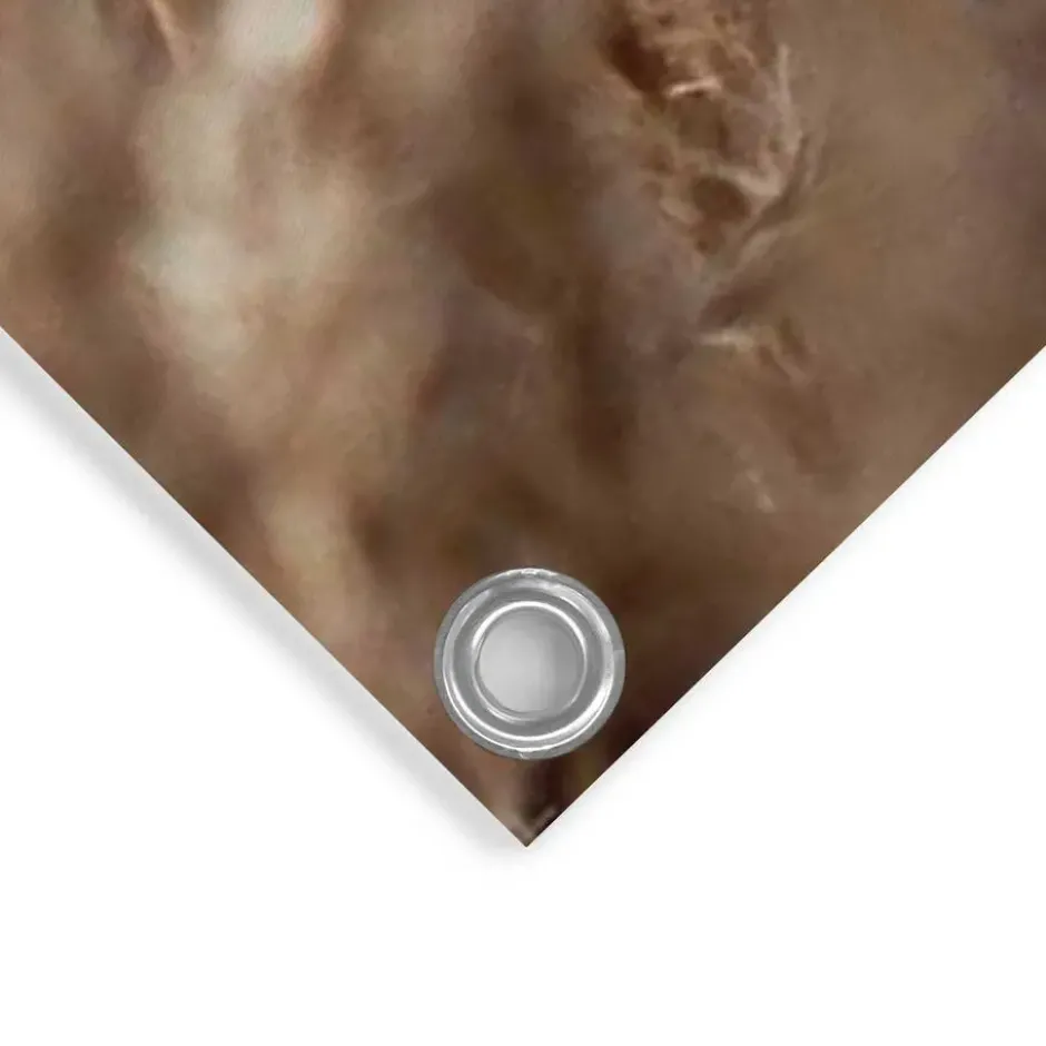 Tuinposter Helmgras - 120 x 80 - Beige