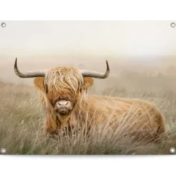 Tuinposter Hooglander - 60 x 80 - Beige