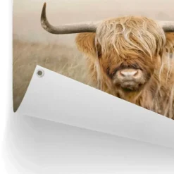 Tuinposter Hooglander - 60 x 80 - Beige