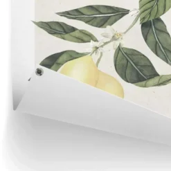 Tuinposter Limoni - 80 x 60 - Geel