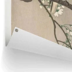 Tuinposter Ohara Koson - Koolmezen op bloesemtak - 80 x 60