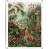 Tuinposter Sea Flora - 80 x 60 - Groen