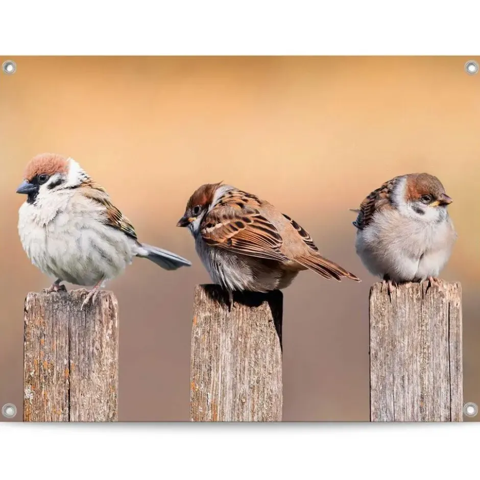 Tuinposter Vogels - 60 x 80 - Beige