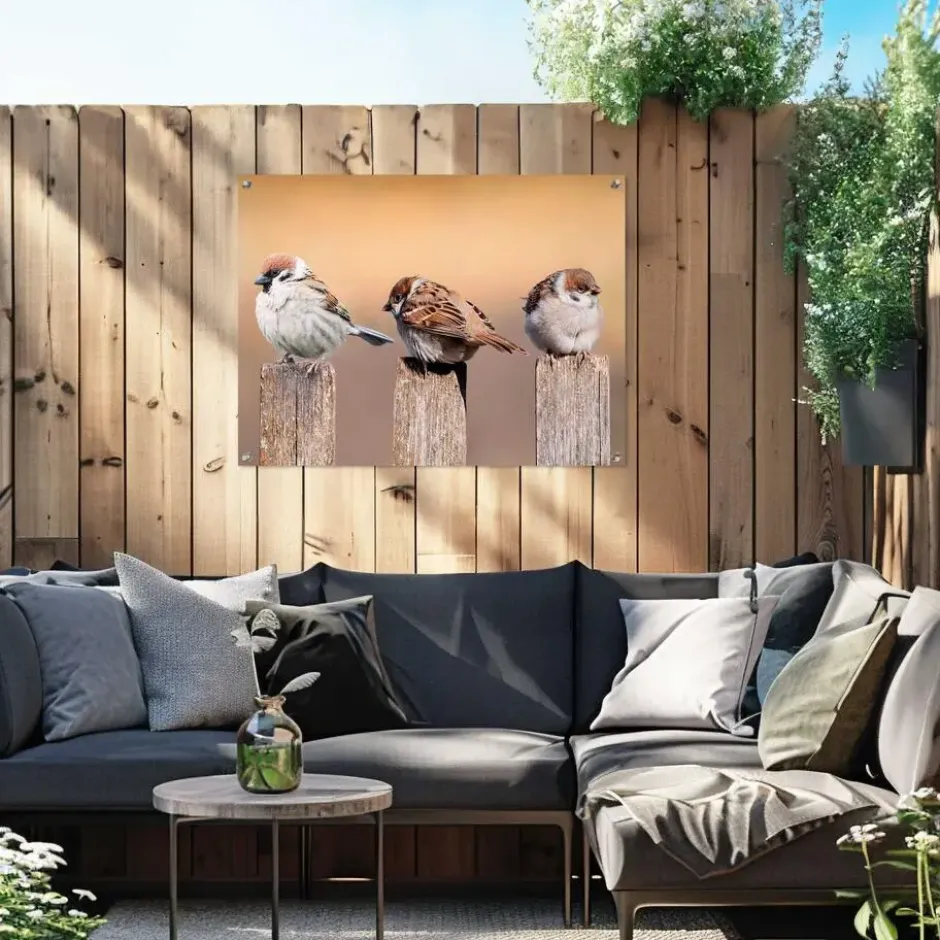 Tuinposter Vogels - 60 x 80 - Beige