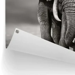Tuinposter Wandelende olifant - 80 x 60 - Zwart