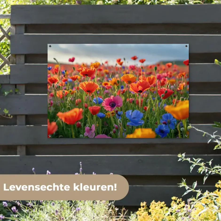 Tuinposter 120x80 cm Bloemen - Klaprozen - Kleurrijk - Natuur