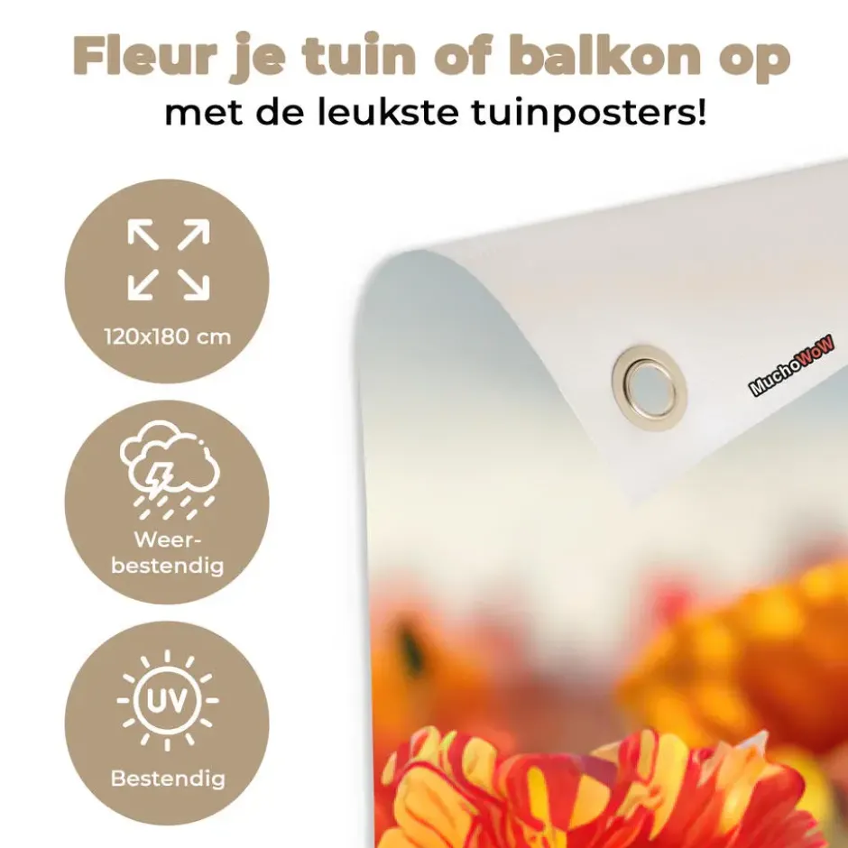 Tuinposter 120x180 cm Bloemen - Klaprozen - Kleurrijk - Natuur